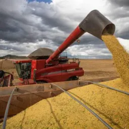 Agro vendas