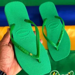 Plantas roupas chinelos 🌱👡🩱🩴
