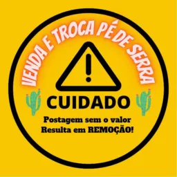 Venda e troca Pé de serra