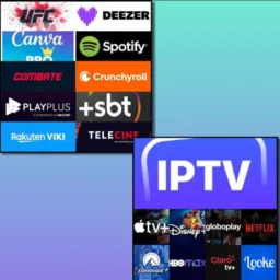 IPTV e vendas LJ MTD
