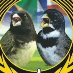 Grupo dos passarinheiros