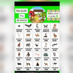 🍀💰Fazendinha💰🍀