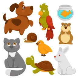 🐶🐱 UNIVERSO PET - OFERTAS E DICAS PARA CUIDADOS COM O SEU AMIGUINHO 🐰🦜
