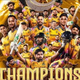 Only🥎Cricket🏏Lovers