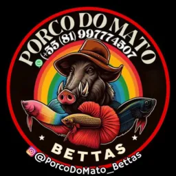 LEILÃO DO PORCO DO MATO E AMIGOS.