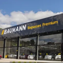 Cravo Consultor da Baumann RP