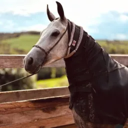 Comitiva os ladainha 🐎🐎