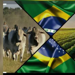 Agro Forte Brasil 🇧🇷 🇧🇷 🇧🇷