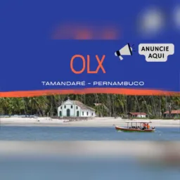 Olx- Tamandaré -PE 🤝