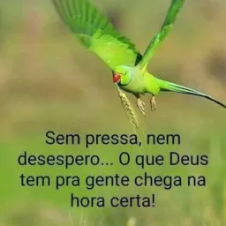 Bazar Coopagro santa Maria e Tocantins compra e vendas