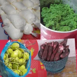 🍉🌽Venda de Agricultura🍌🍍