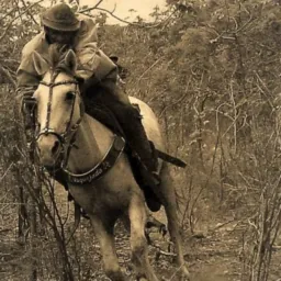 Bora trocar que ama tá difícil🤠🐴