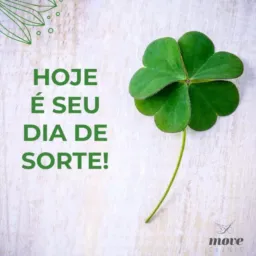 Sorte grande 🍀✅