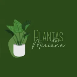 Plantas da Miriana🪴🌺