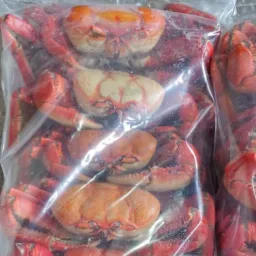Do mar para sua casa