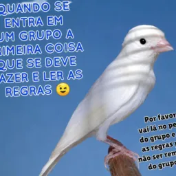 Emcontro dos amigos da raça espanhol