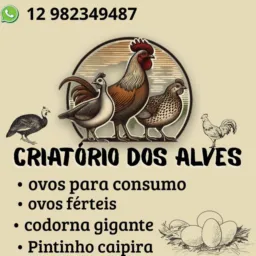Vendas , trocas de aves no Vale paraiba 🐣🐥🪿🦆