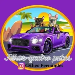 Buldogue francês! Bh Minas Gerais (Todas As Raças)🐾🐾