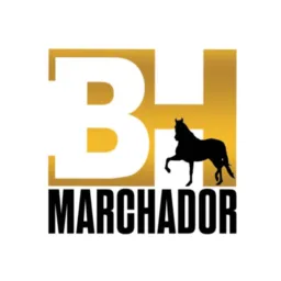Oportunidade BH Marchador