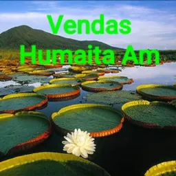 Humaitá vendas
