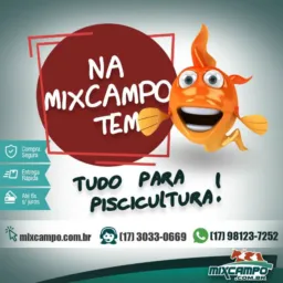 💯% Cria Tilápia/Camarão🦐🐟