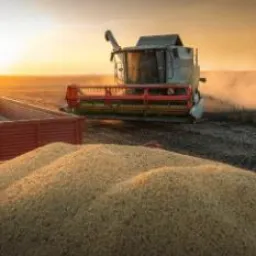 🚜 🌾  BUDA FRETES  3️⃣