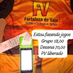 FORTALEZA DO VALE resultados