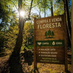 ✅Compra e venda floresta e região ✅