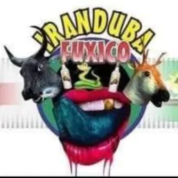📣IRANDUBA FUXICO VENDA JA
