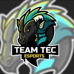 ORGANIZAÇÃO TEAM TEC