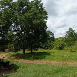 Balneário 2 irmão
