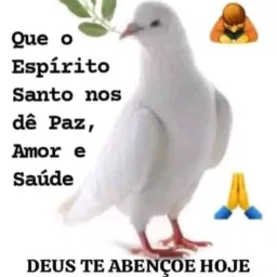 Burro