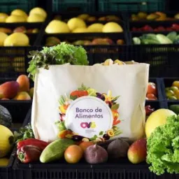 Voluntários distribuição de verduras ( Sábado )