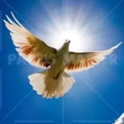 🔥🔥🔥Pentecostais do Brasil 🔥✝️