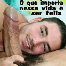 BB gatinho