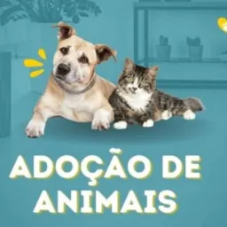 Grupo adoação de animais 🐶🐶🐈🐈 Amambai em todas região.a venda vários raça.de cachorro de animais 🐶🐕🐕