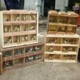Feira De Acarí OFicial🦅🇧🇷
