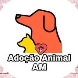 Doação de animais IRANDUBA/ AM,      PROIBIDO VENDAS DE ANIMAIS