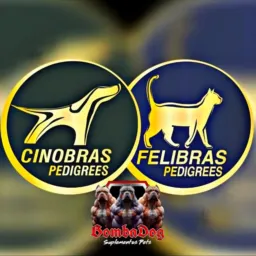 CINOBRAS PEDIGREE 🌍 🐶
