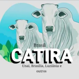 Catira: Unai, Buriti, formosa, Paracatu, DF, Cabeceiras  de Goiás, Goiás e entorno do DF.