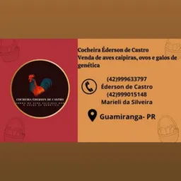 Cocheira Éderson de Castro