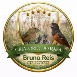 🏆 GRUPO DE RIFAS DO MARANHÃO DE GAIOLAS E APARELHOS DE ENCARTE 🏆