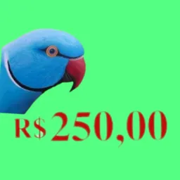SÓ AVES ATÉ 250