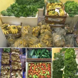 Agricultores de ANAPU