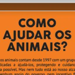 DD 21 COMO AJUDAR OS ANIMAIS