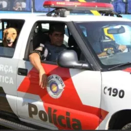 Ronda policial