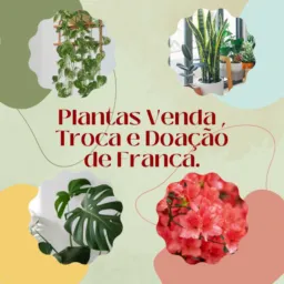 Plantas Venda , Troca e Doação de Franca-SP