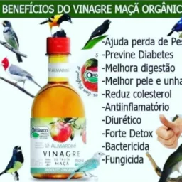 🇸🇲Gp só novas peças p/rolo🇸🇲