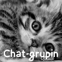 ❧ Chat-Grupin ❧