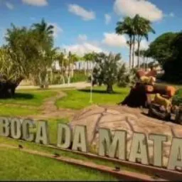 AS AMIZADES DE BM